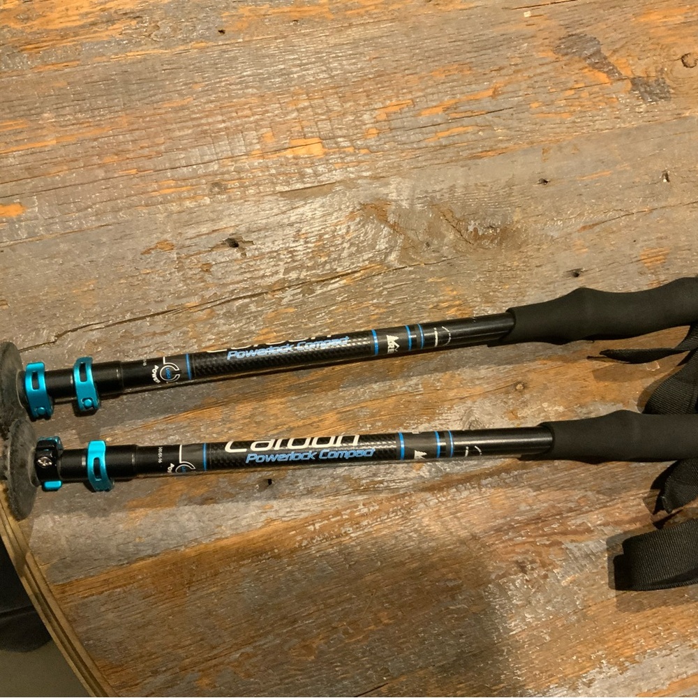 REI Carbon Trekking Poles